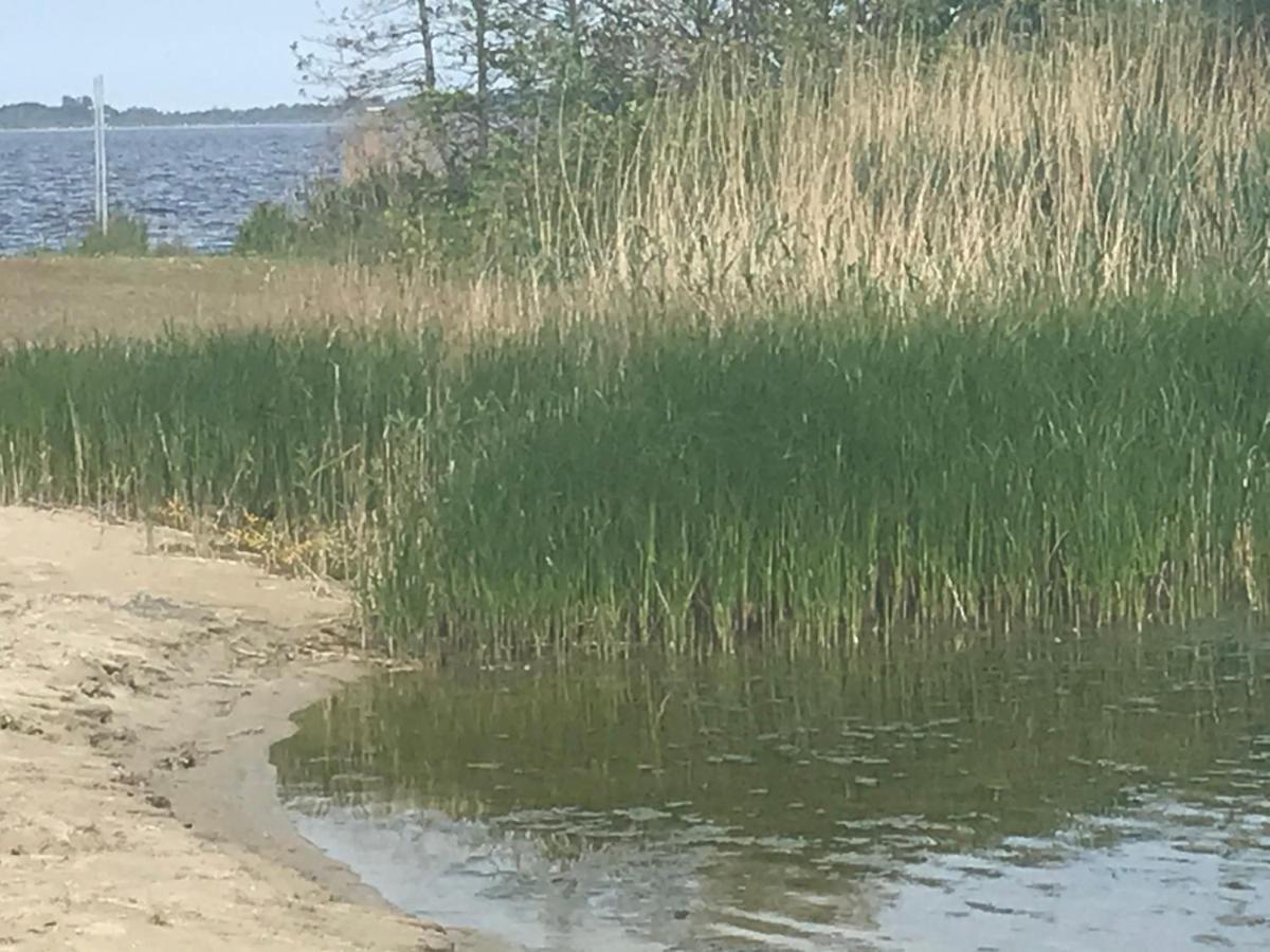 De Lauwersmeer Vogel Mit Eingezaeuntem Garten Anjum Exterior foto